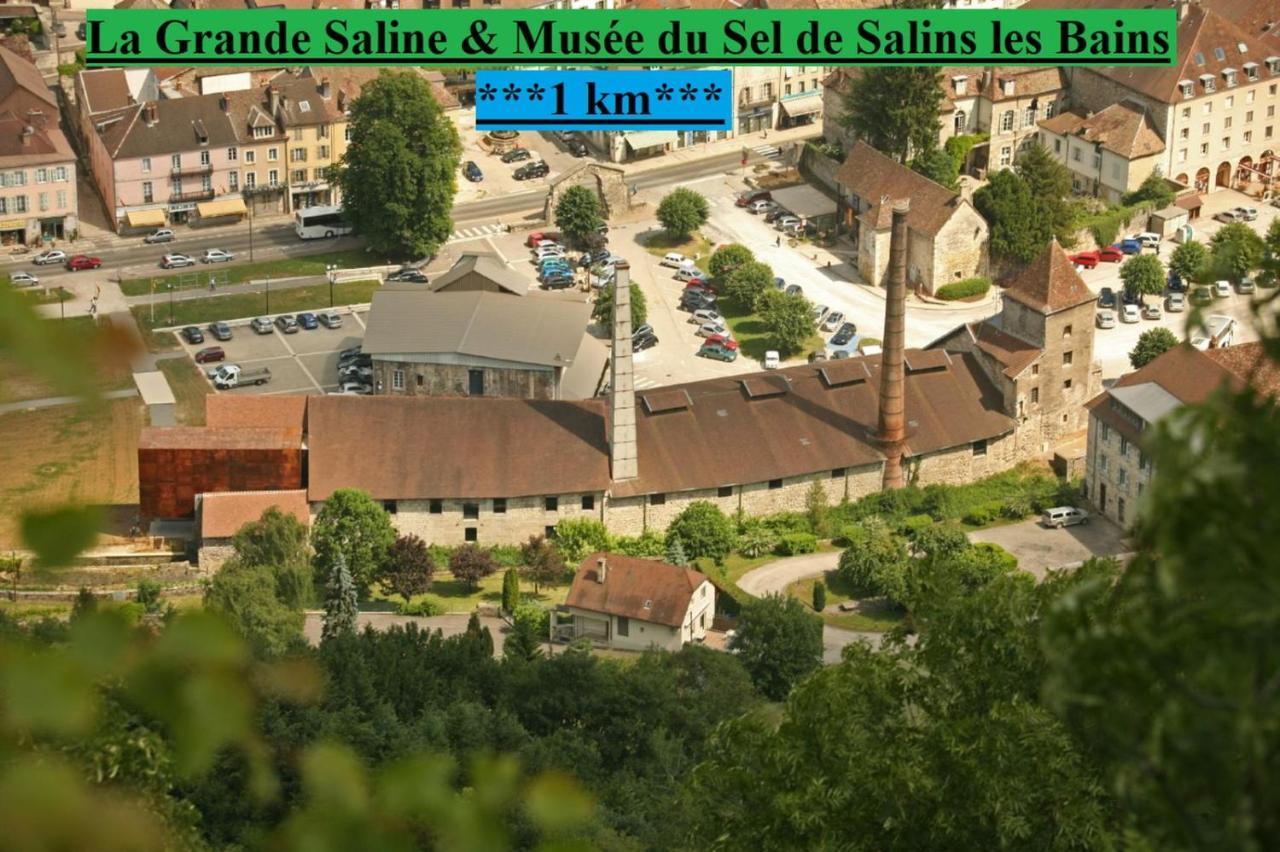 Appartement Cosy Pink Salins Les Bains Salins-les-Bains Exterior foto